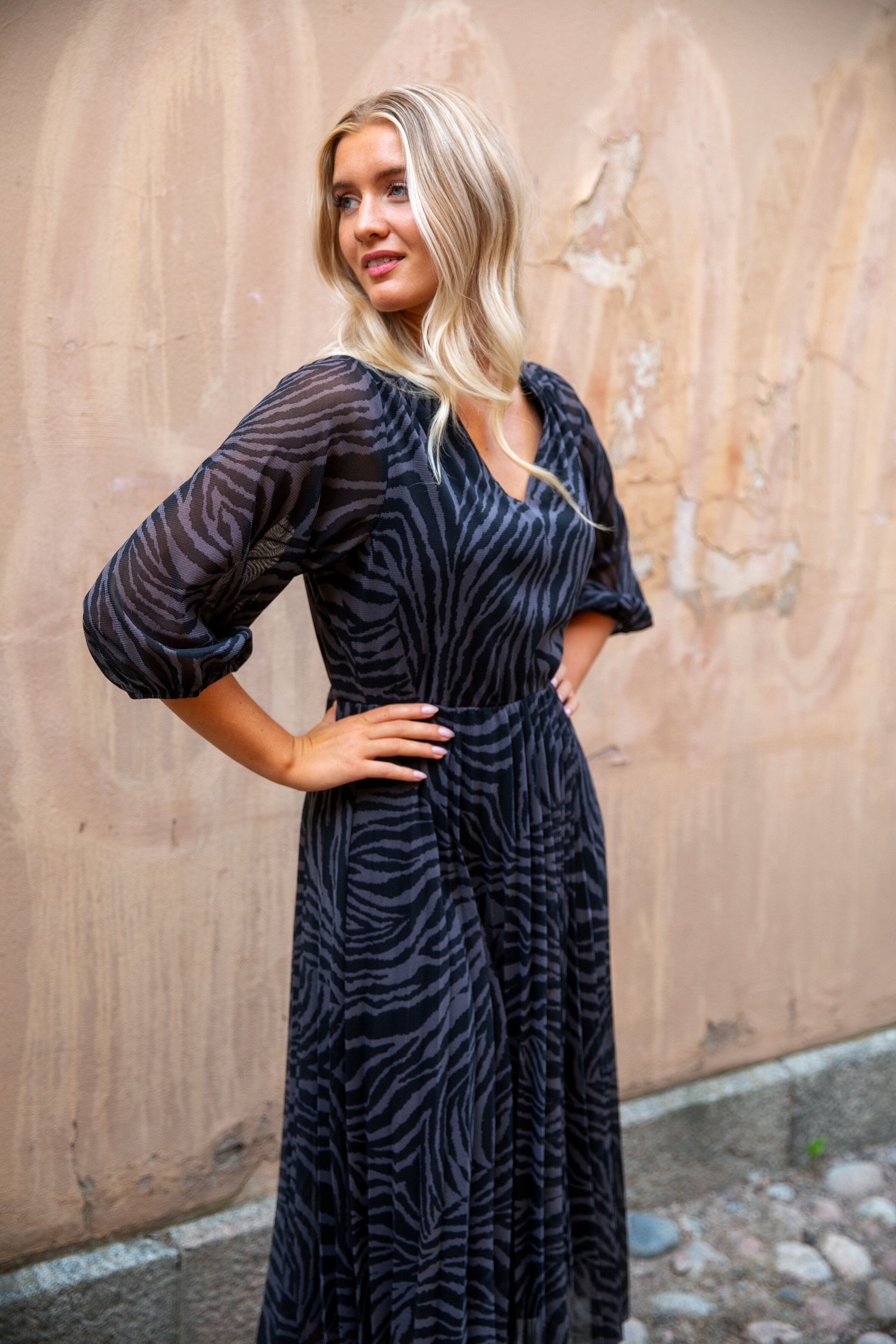Ava dress - bari dark pearl